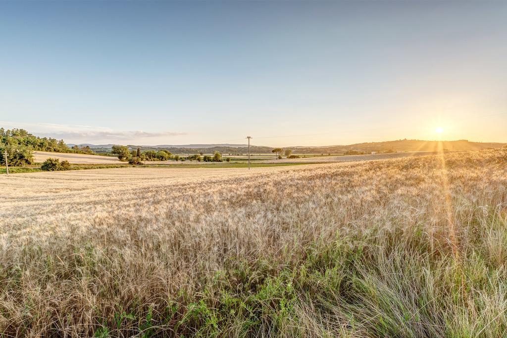 Agriturismo Il Poggiarello Foiano Della Chiana Bagian luar foto